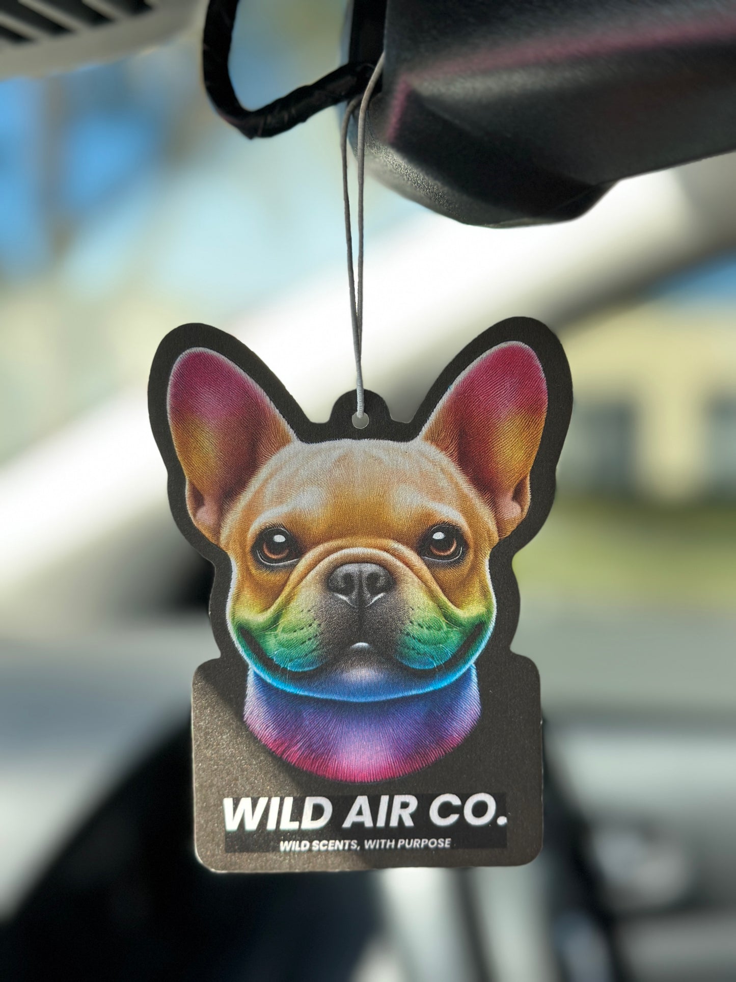 French Bulldog