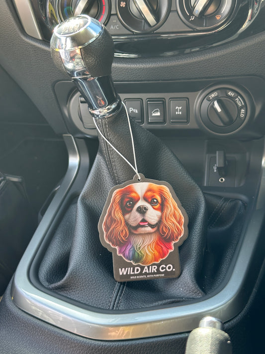 Cavalier King Charles Spaniel Dog