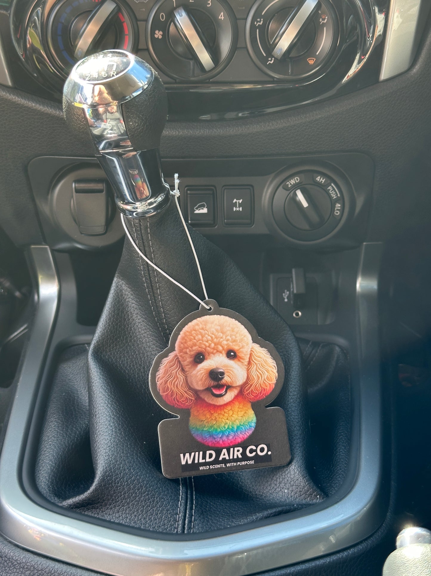 Toy Poodle Dog
