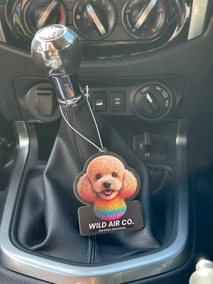 Toy Poodle Dog
