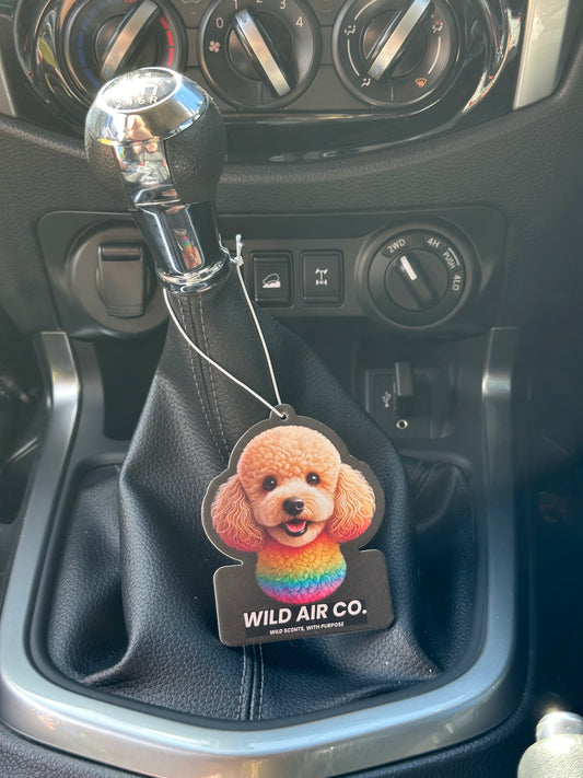 Toy Poodle Dog