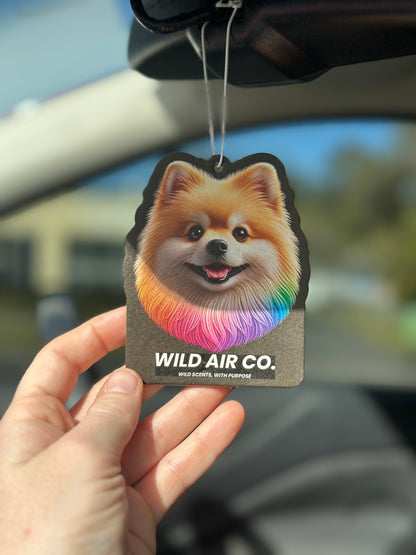 Pomeranian Dog