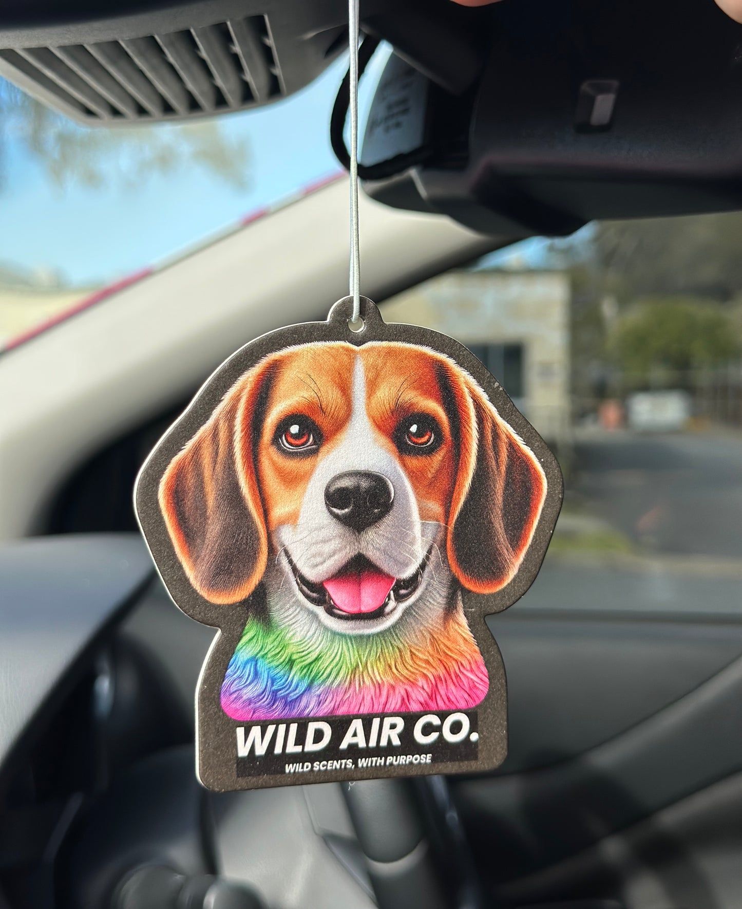 Beagle Dog