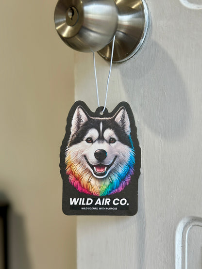 Husky Dog