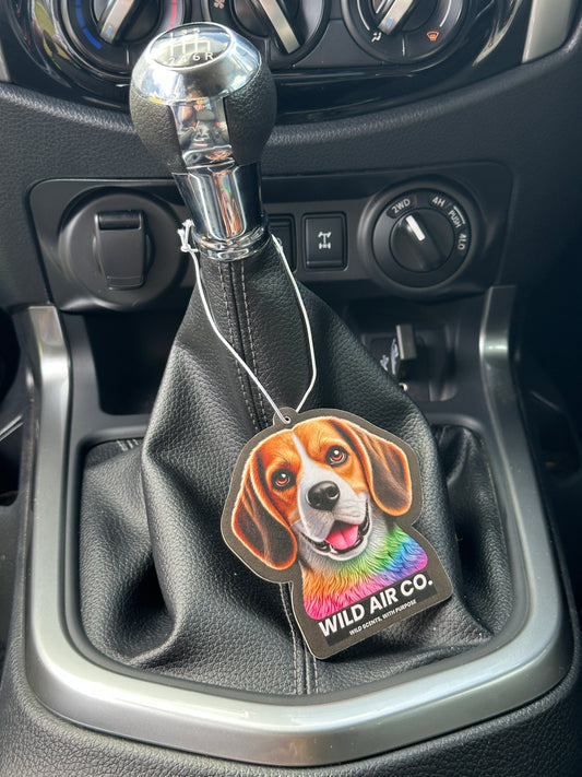 Beagle Dog