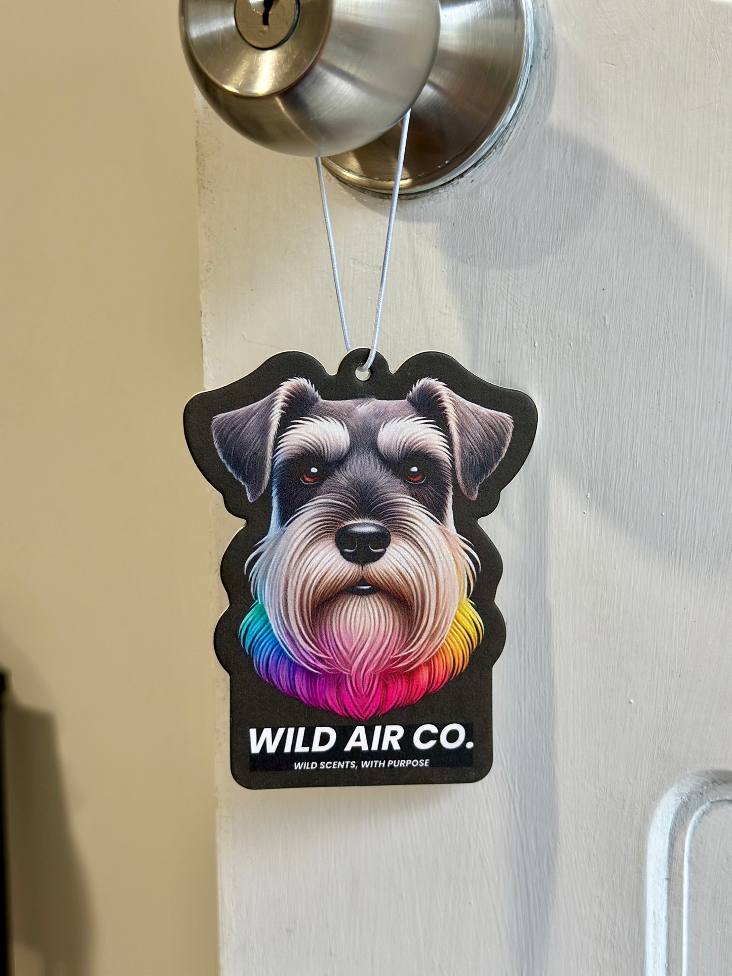 Schnauzer Dog