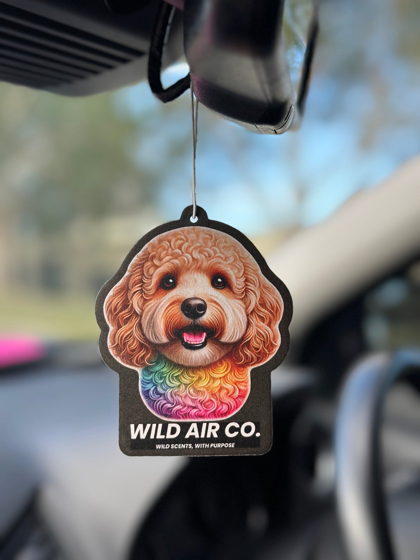 Cavoodle Dog