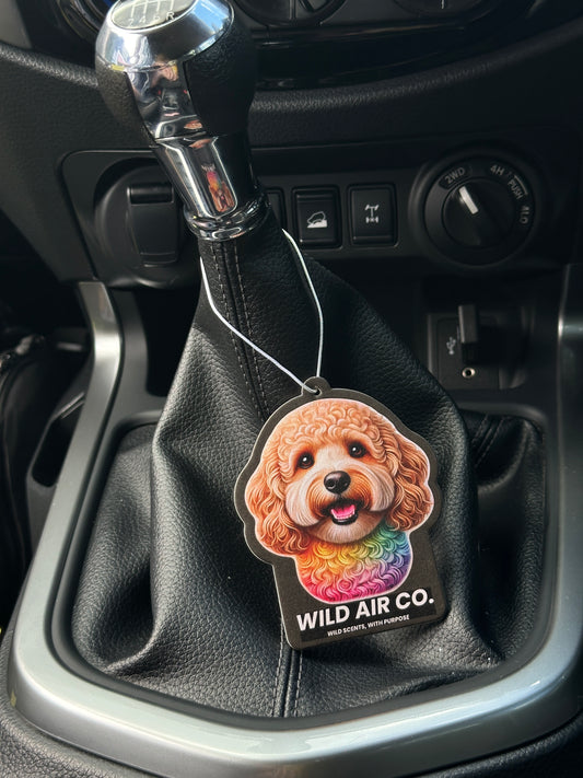 Cavoodle Dog