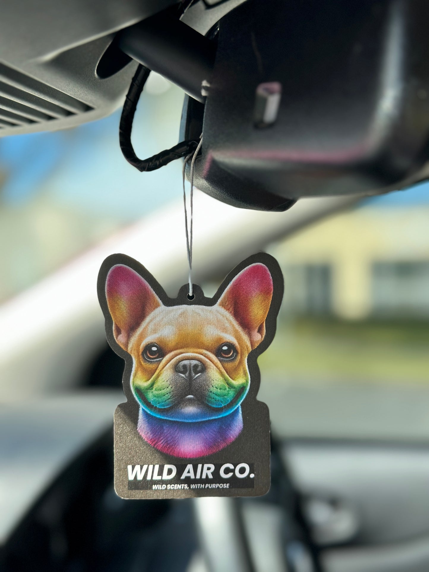 French Bulldog