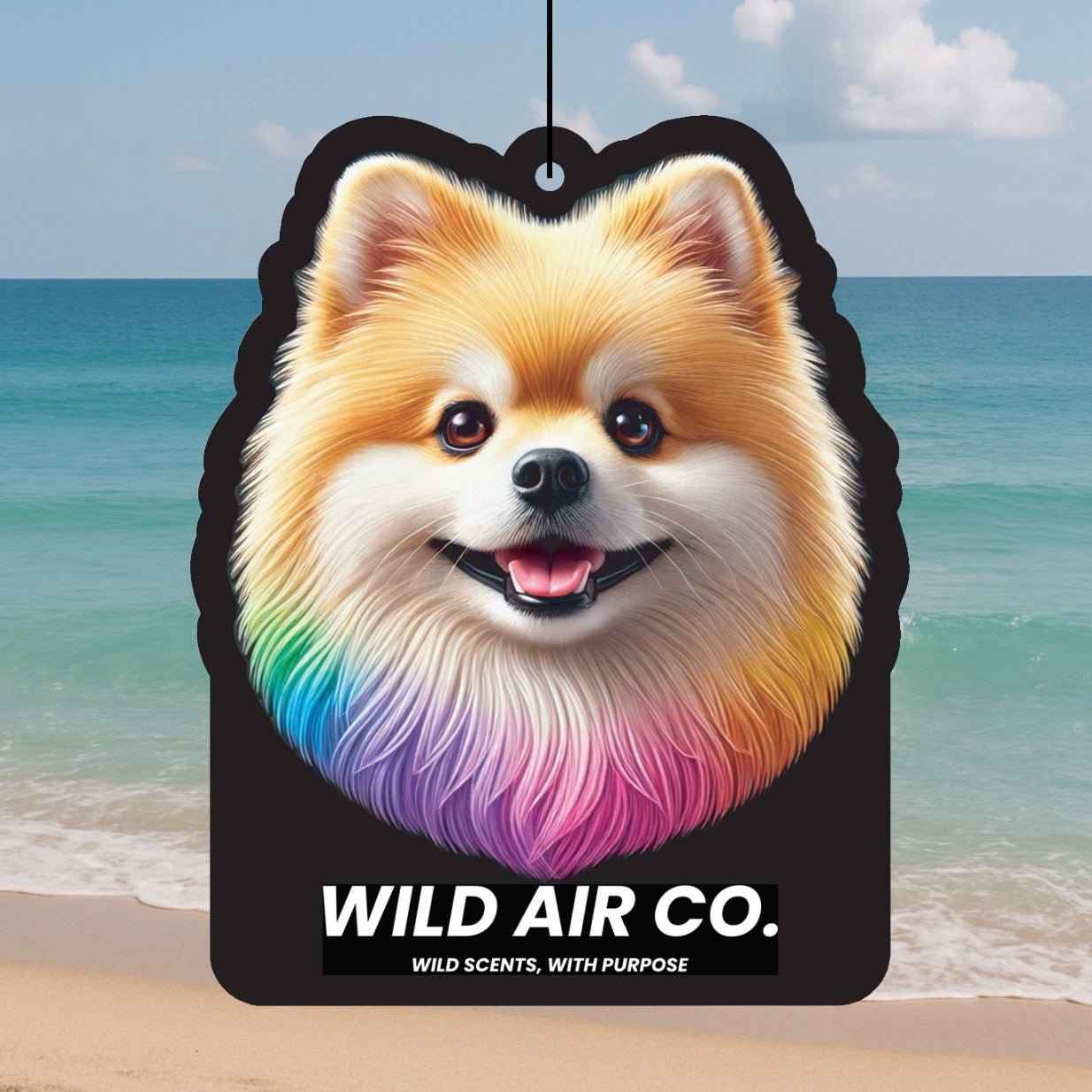 Pomeranian Dog