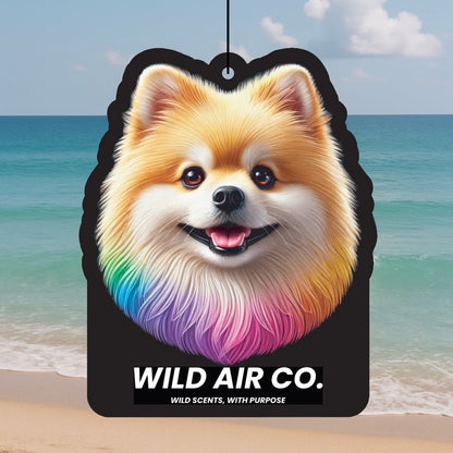 Pomeranian Dog