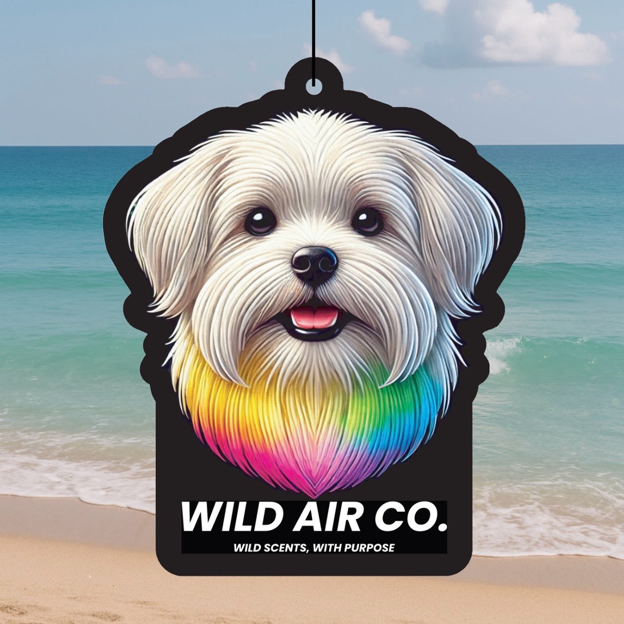 Maltese Dog