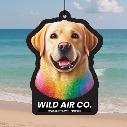 Labrador Dog