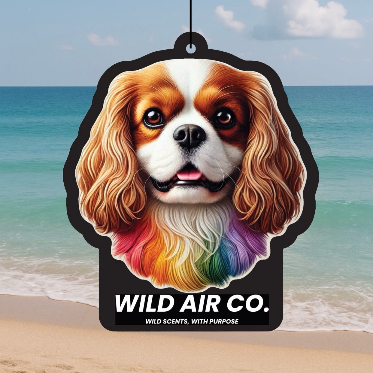 Cavalier King Charles Spaniel Dog