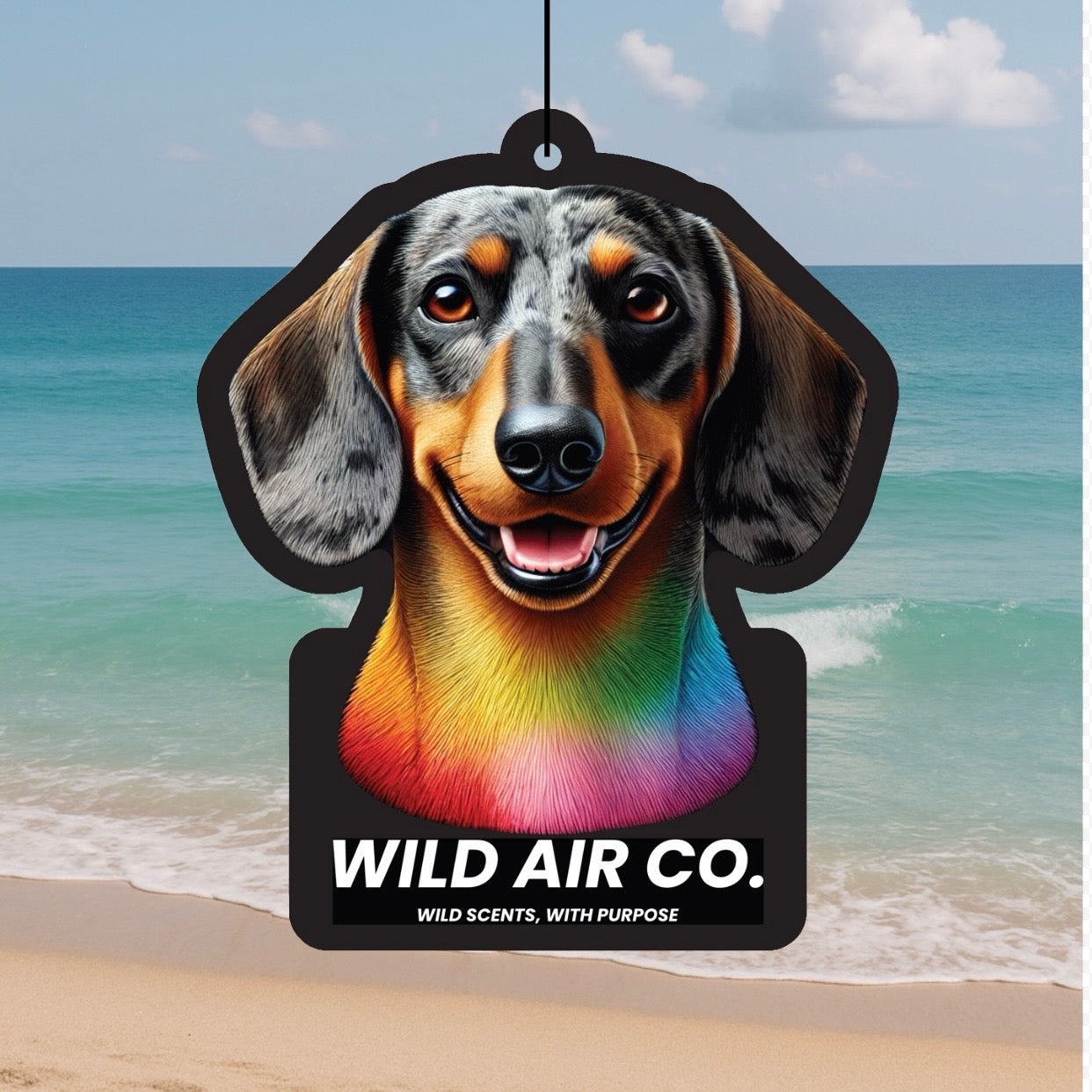 Dachshund Dog