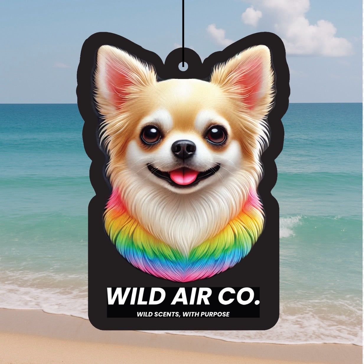 Chihuahua Dog