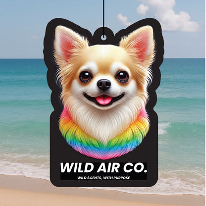 Chihuahua Dog