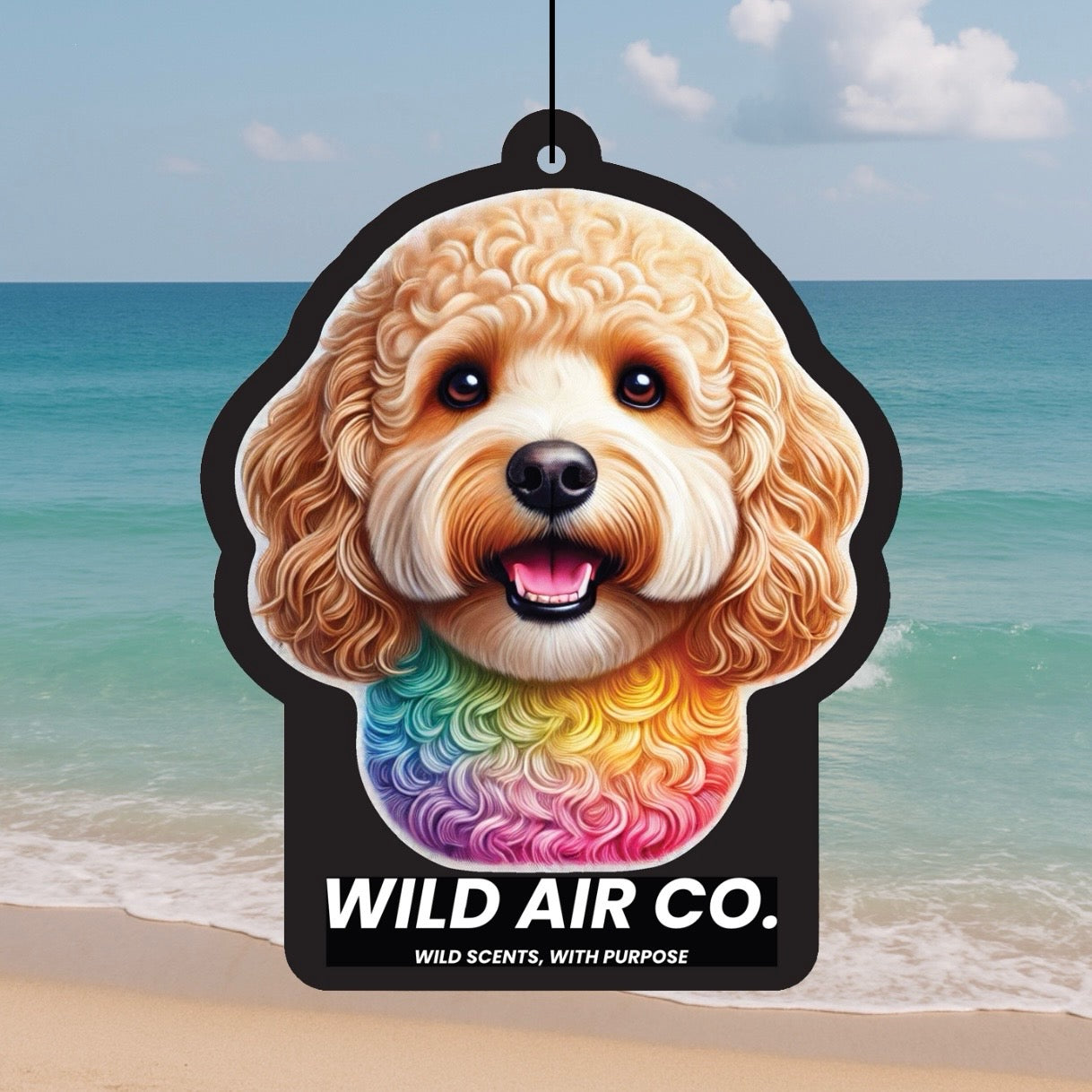 Cavoodle Dog