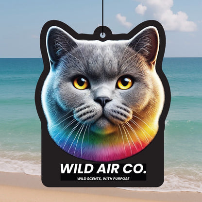 British Shorthair Cat