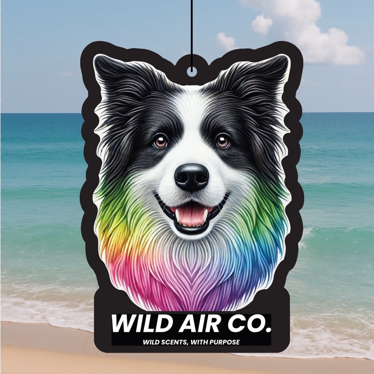 Border Collie Dog