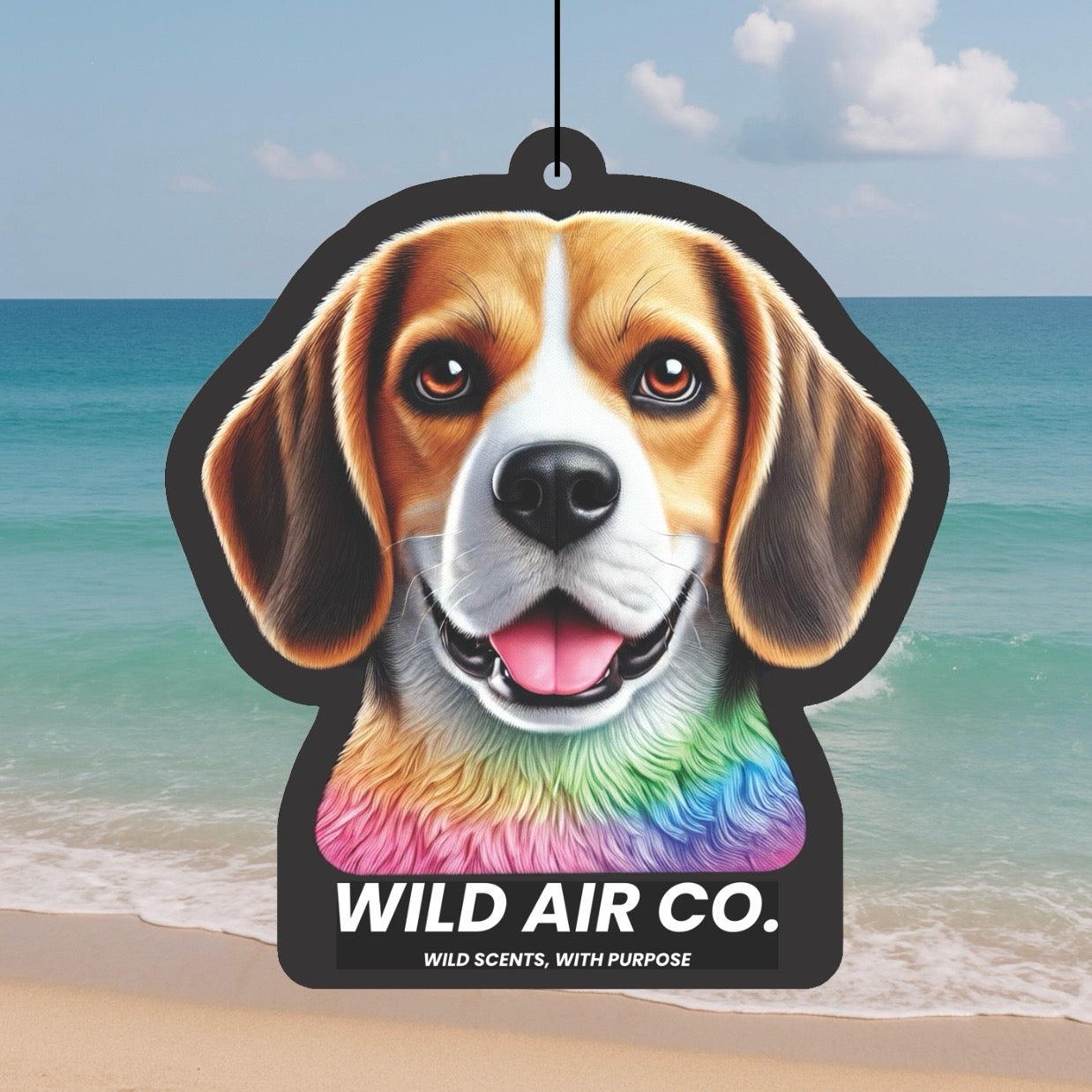 Beagle Dog
